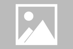 半岛体育下载 - 鹈鹕队nba 